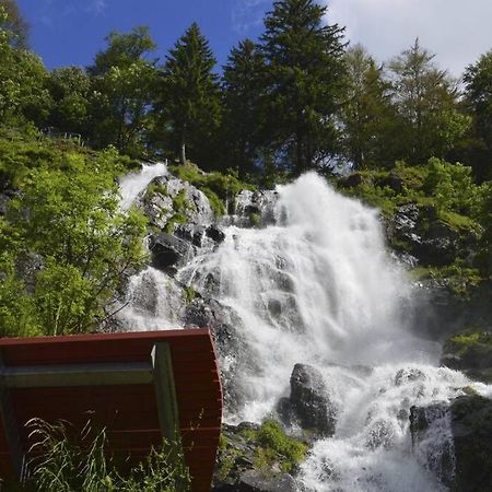 Waldloft Titisee Zewnętrze zdjęcie