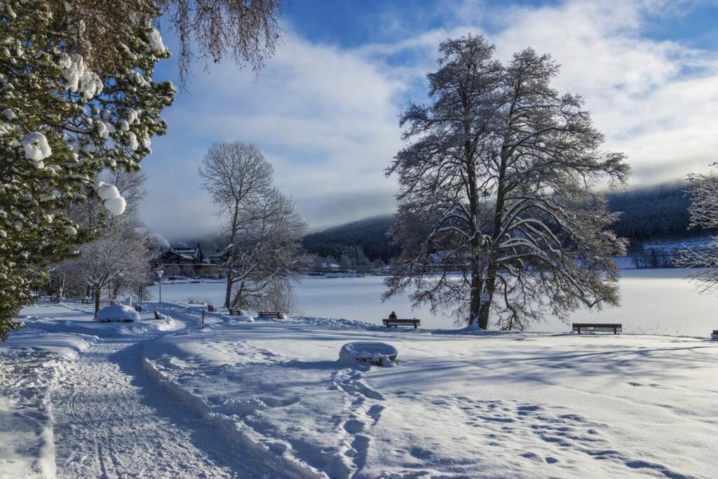 Waldloft Titisee Zewnętrze zdjęcie