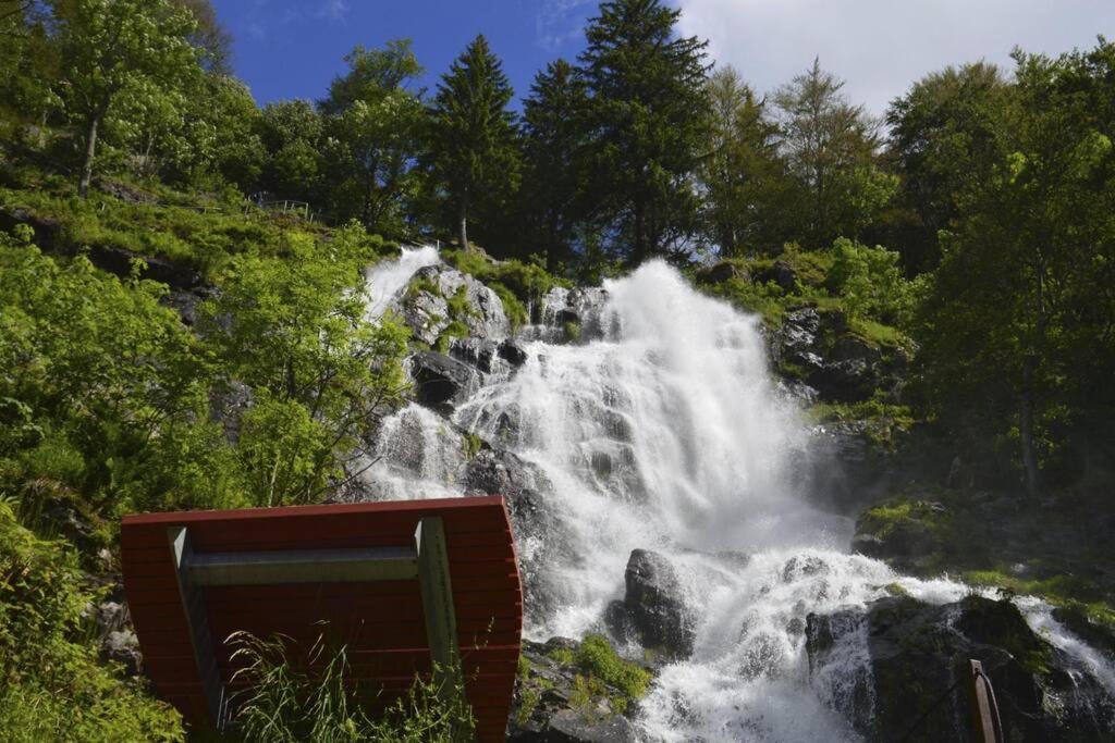 Waldloft Titisee Zewnętrze zdjęcie