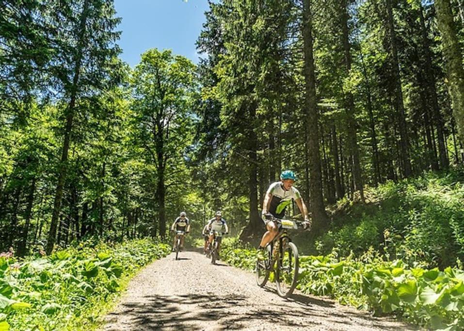 Waldloft Titisee Zewnętrze zdjęcie