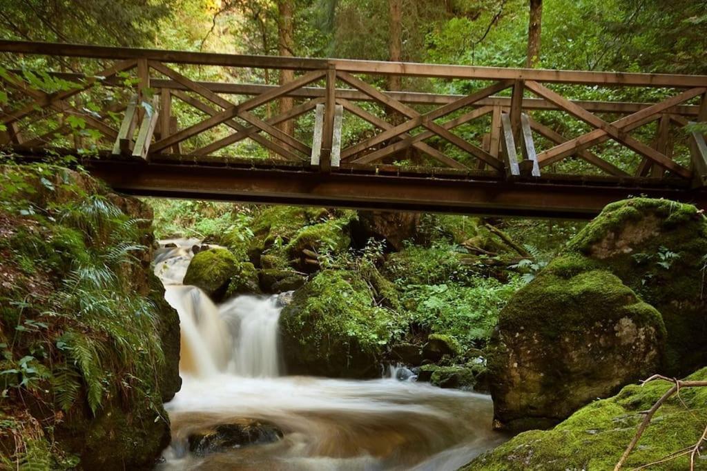Waldloft Titisee Zewnętrze zdjęcie