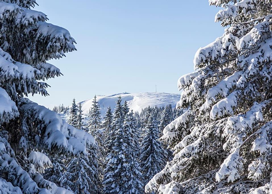 Waldloft Titisee Zewnętrze zdjęcie
